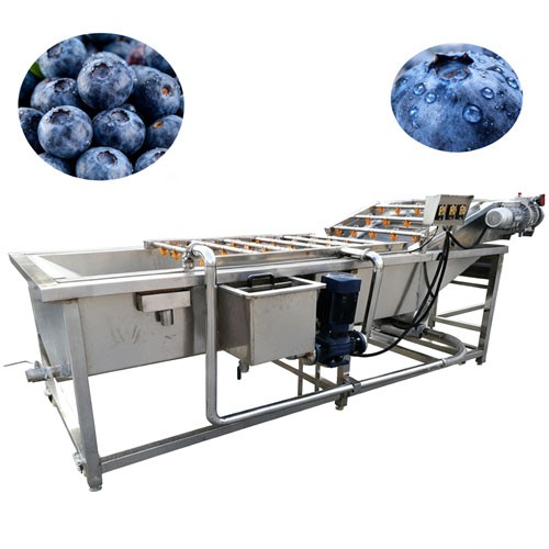 Blueberry Cleaning Equipment