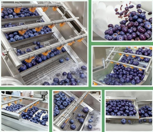 High-Efficiency-Blueberry-Bubble-Cleaning-Equipment High-Efficiency-Blueberry-Bubble-Cleaning-Equipment